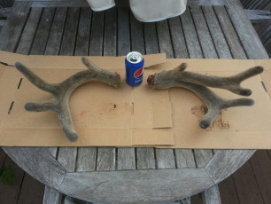 5D376C02-F42B-4DB2-8264-CEB2762B7CBE