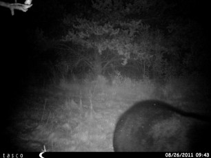 7826B413-E150-4DA4-A5E0-799480DC3C24