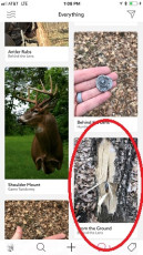 7893DFDE-79CF-4F2B-A4F0-139D62831778