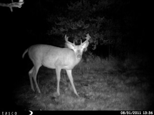 8345B814-7AC4-4FC7-85BF-33DB2730C122