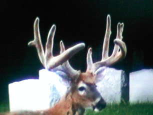 87654D78-35B9-4ED3-8B72-950E78C3213A