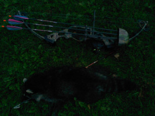 88592920-704B-451C-A892-338F44E71BC0