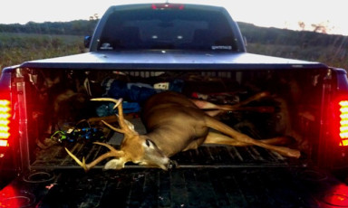 8EFF78F0-CC78-486E-85B1-77E41F5D1E1E