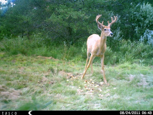 8FCC2AC8-64B1-41ED-A684-975054B7BE3F