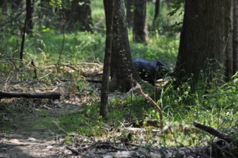 909ABC26-8121-48C0-BA11-B03E2D5DFF11