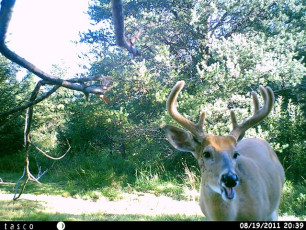 95936347-665C-43EA-8D7A-2A20C527601C