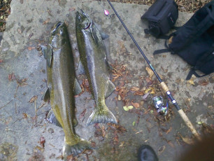 9C0D64DE-4FCD-413C-82A2-C5A7C4A682E9