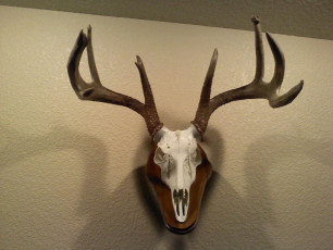 9C841B88-3F49-4DAD-BDFA-20BE40BA3B8D