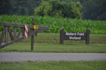 9EE29D56-22B6-4D4B-8C45-0028A3192C7E