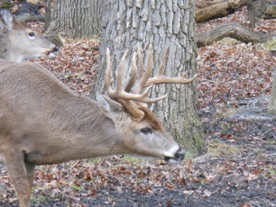 A0D288B5-CF3B-43A5-B29A-2A172ED4C87B