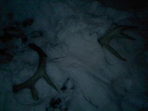 A13B8E92-EF27-4DC6-8DF8-1C0633E26327