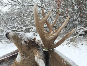 A353E02A-9D53-445E-B8DE-0CF14AE426F5