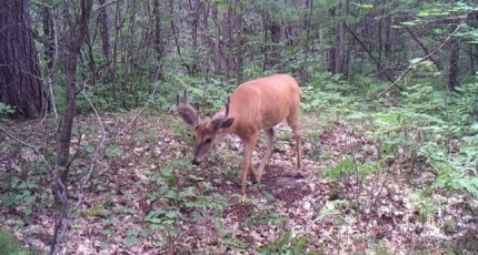 A53194B9-F8AF-49DB-AD4B-67CC1CA01DE2