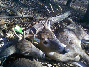 A6AA3962-06C8-489D-ABBE-C90CFE99138B