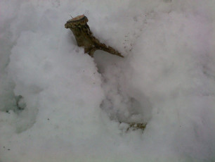 ABA98861-0997-4CD5-B03E-92F72E6768D5