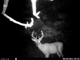 B08986BB-8424-4506-AFF1-601603836E44