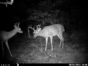 B178F37A-F6B7-4413-88C7-01767102F6B2