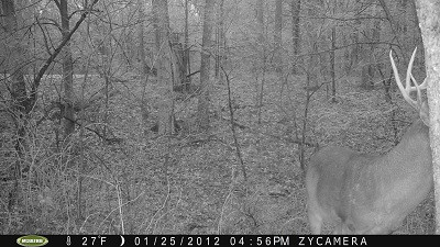 P088-256-256-256-39h-003-00-0360-1080-0359-1079