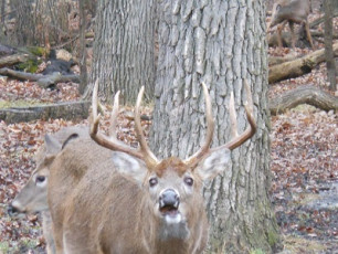 B89F55DC-21D8-497E-A035-18ECF8A1B3B2