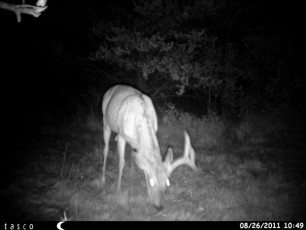 B93EA774-868E-41FC-962C-150BB407A5D4