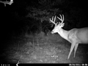 B9740FDF-98D4-4AE0-9ED5-569EFDAD36C6