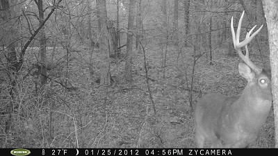 P088-256-256-256-39h-003-00-0360-1080-0359-1079