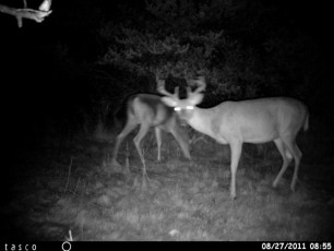 C26118D4-9654-4A8C-B460-F10F4C777EB8