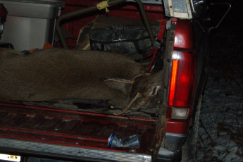 C3B15FFD-CBA0-4D40-ACA5-6F4F6DDE23F2