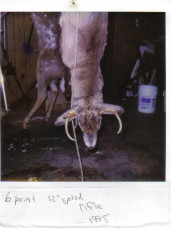 C668C101-2883-47BC-A7E7-DA9636F6B49A