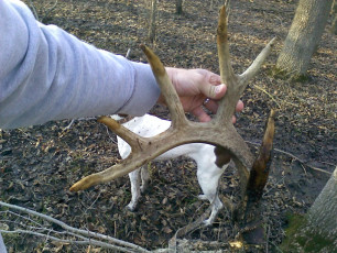 C759204F-37B7-44FA-9DCC-424E4D0BD81A