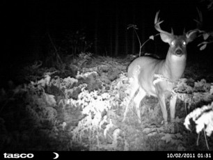 CD4C6E35-484E-4614-B417-0F821DC1B4E3