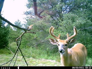 CDB45899-052E-4498-80F8-59EE4C3ABEFB