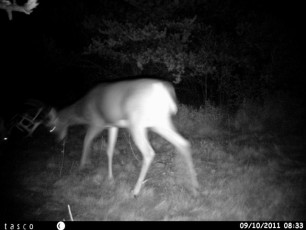 CEED5DE2-35FE-4048-9074-E9E3F662D512