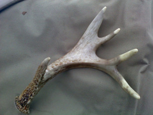 DB187AC9-18CB-4836-BD93-4EF5C9146087