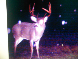 DD2A148B-47E8-4D56-9EE8-C086F4DC4554