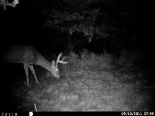 E3E39163-AB6A-4C18-BC47-D9D8D4EA66C9