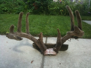 EFA14511-D077-4823-ADC7-A7BB3AE3A711