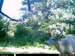 F849C1CD-E260-42AA-88B8-C06725B50B76