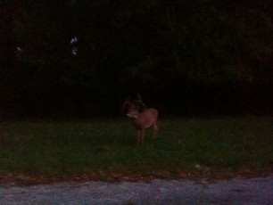 FBF45276-F154-4BB8-BCA1-2BAEDC6DCB1C