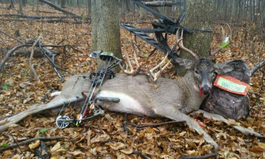 01603BF2-2077-4448-990B-817C080E6A9A