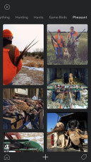 031945A0-CCB6-4004-AF9B-C865BF2D43CF