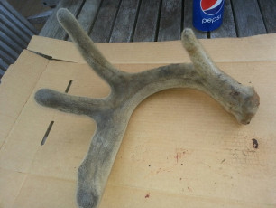 03435A7B-48F4-4121-9E93-9B424BBD01D2