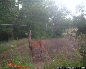 04916128-9235-4481-BC93-029AAD377993