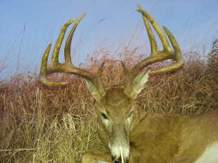 095D586F-2AAB-4628-999E-D3B2AF0706D4