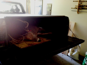 0A0AA085-6329-4F02-9996-77E37F100A92