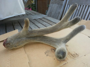 0A8F2249-ECBD-4794-BC16-E9512F4779D9