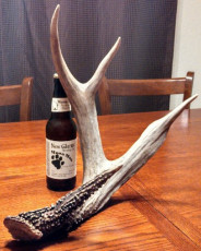 0AC06F09-27D7-4672-8219-2C96FA7CFBBF