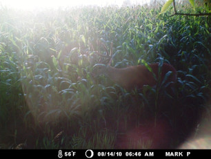 0BF50059-C1A5-488B-B949-E4AA6E363315