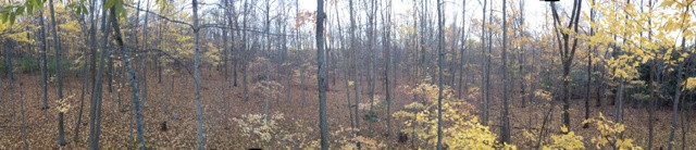 0E788750-F5AE-4CA1-8630-44D06702021F