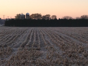 0FC8E595-6172-4D85-AA4F-9B1A9DB63FD7